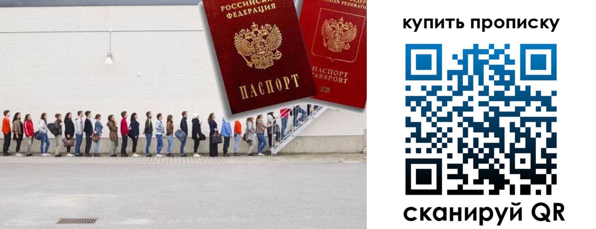 прописка штамп в Ржеве